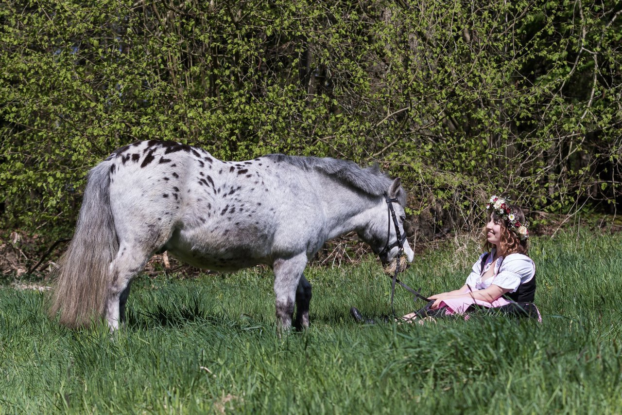 Bild 36 - Fotoshooting im Wald